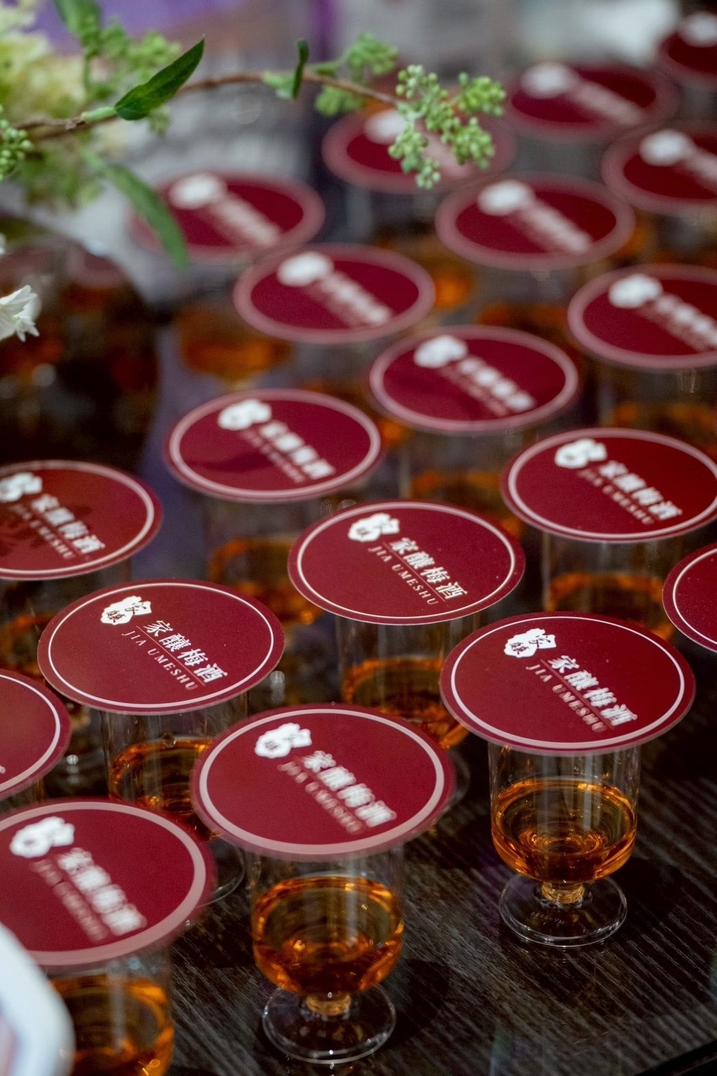 活動試飲・嚴謹與美感兼備