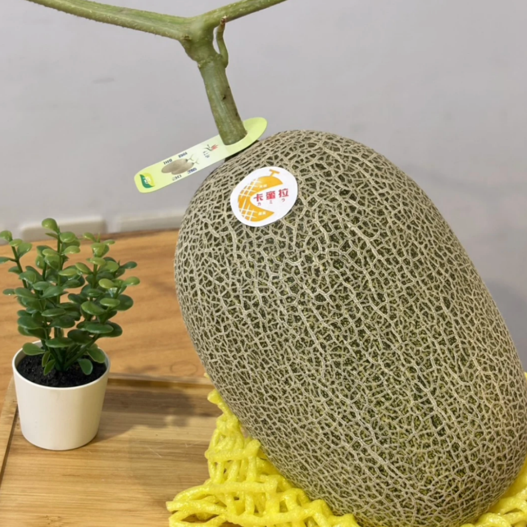 中秋送禮推薦哈蜜瓜